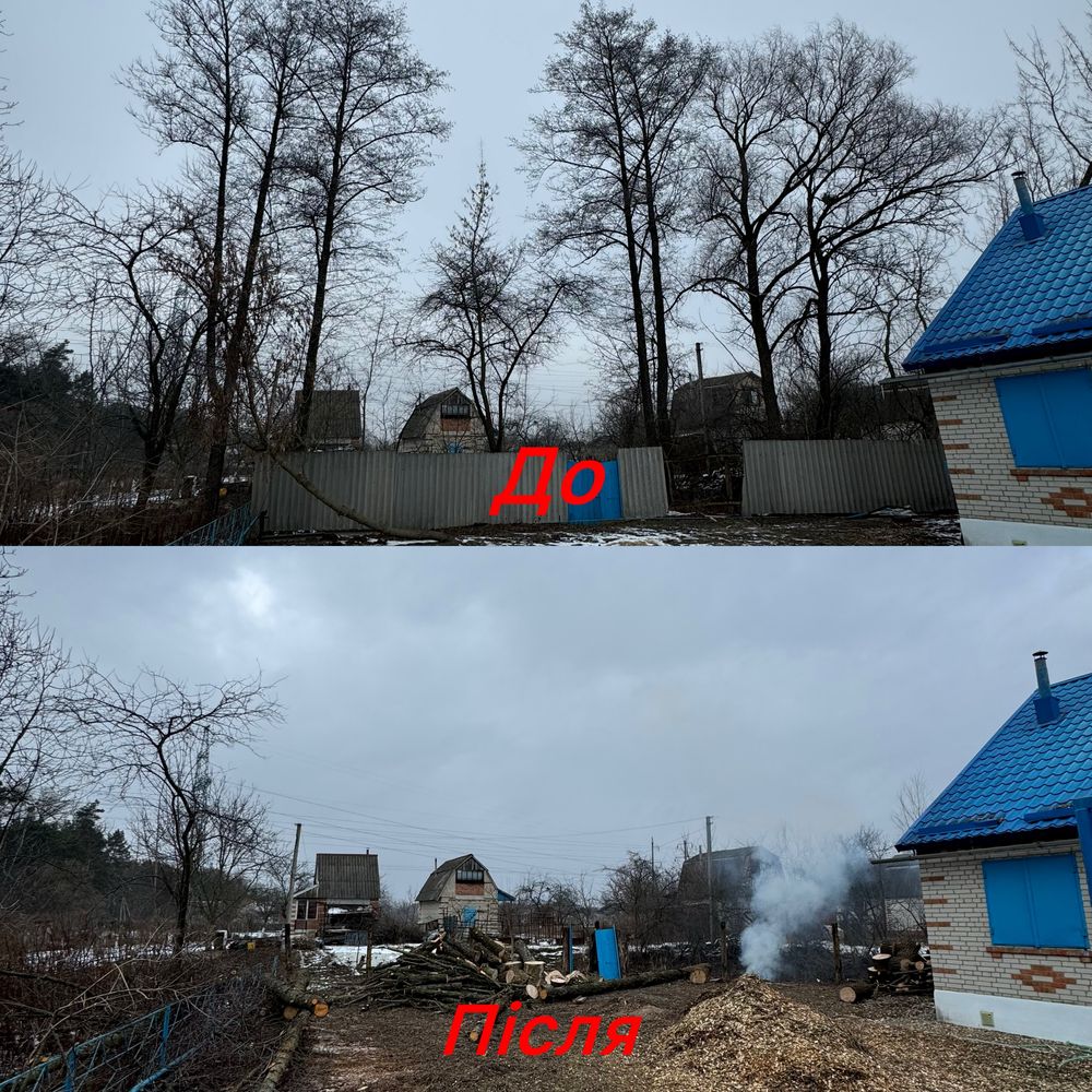 Обрізка садових дерев, подрібнення гілок, видалення сухих гілок