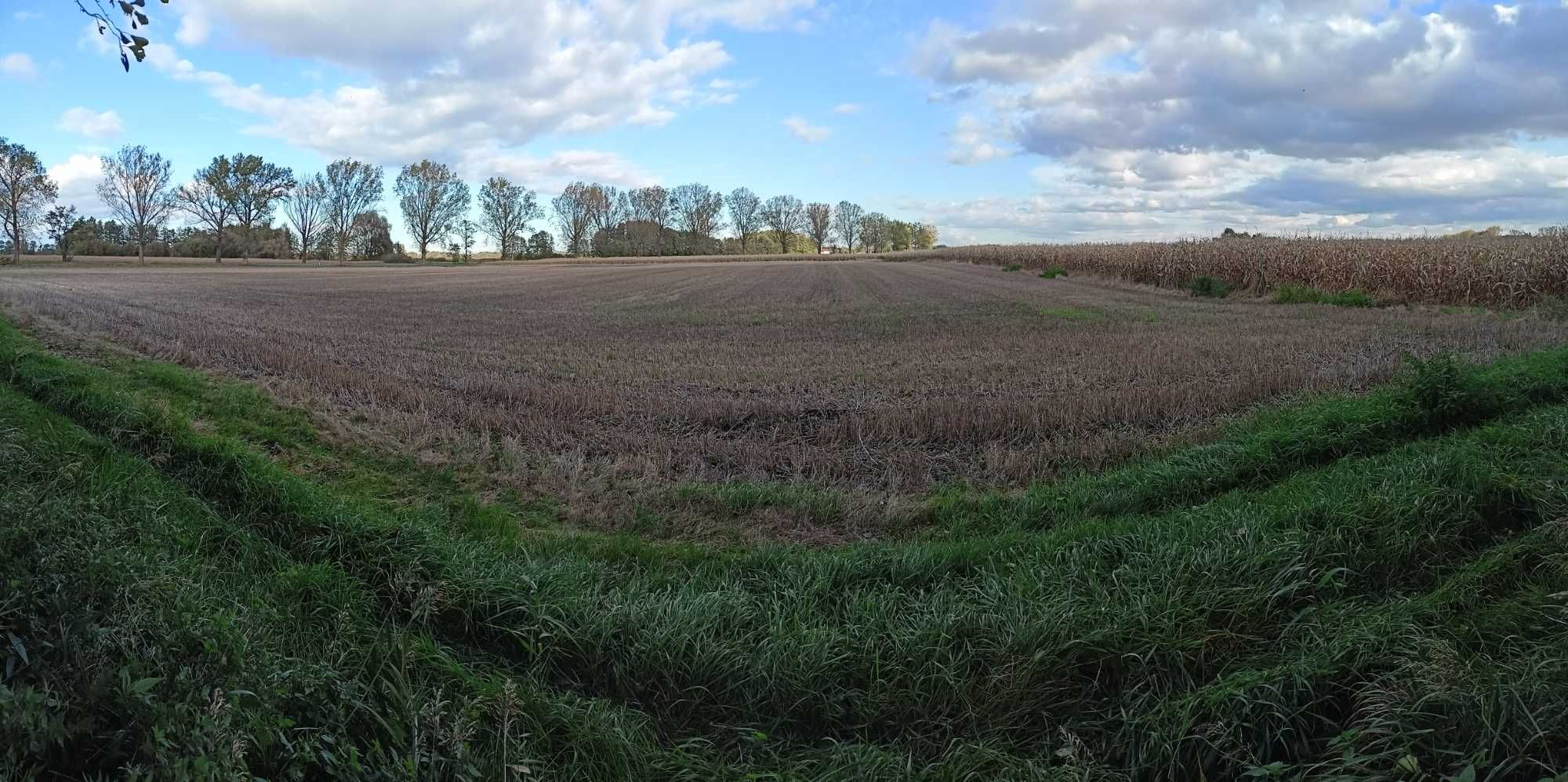 Działka inwestycyjna 1,9 ha MPZP 3P/U produkcyjna usługowa magazynowa