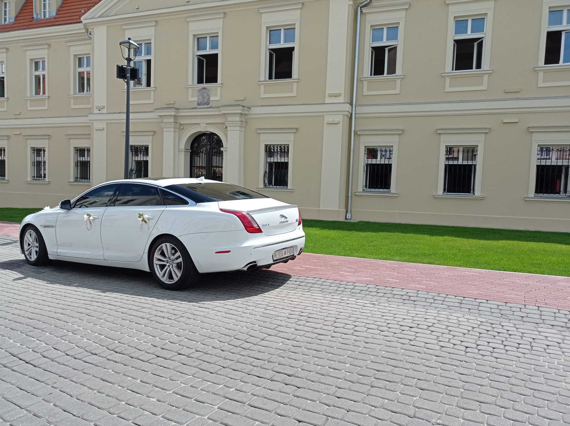 Piękny i komfortowy Jaguar XJL - Auto Na Wesele