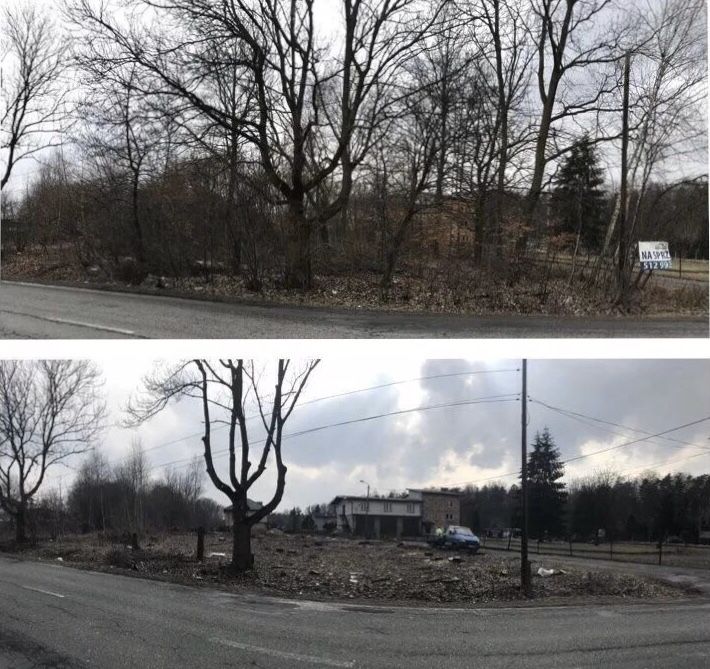 Koszenie trawy, nieużytków, wycinka drzew, frezowanie pni, karczowanie