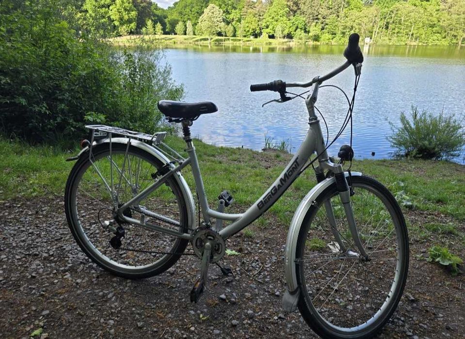 rower bergamont comfort