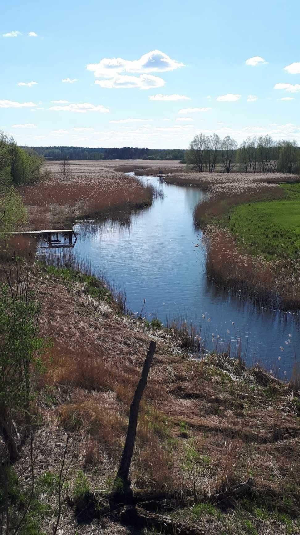 Domek do wynajęcia ( Zameczek )