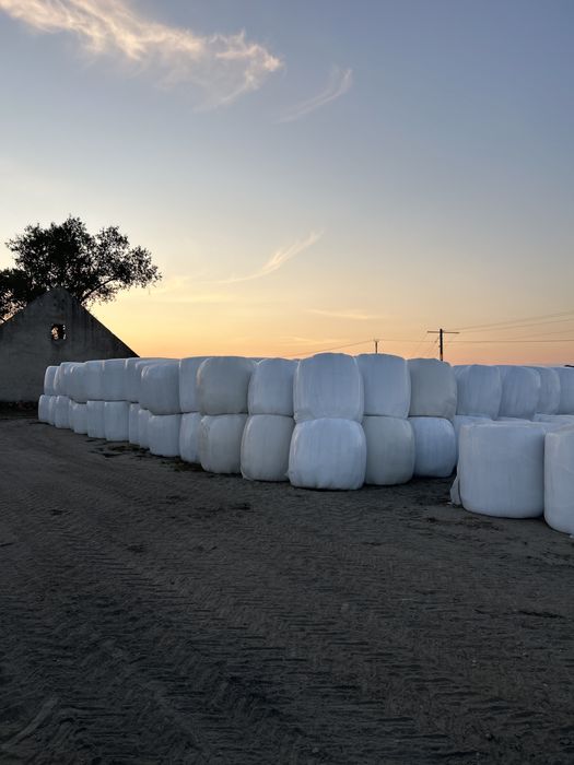 Sianokiszonka z lucerny. Możliwość kupna nie owiniętych bel!!!