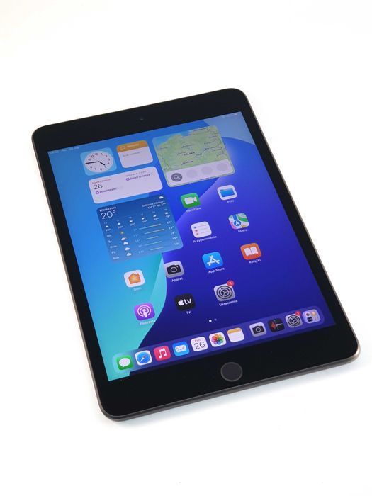 Apple iPad mini 5 generacji | 256GB | WiFi | Space | 3838b iGen