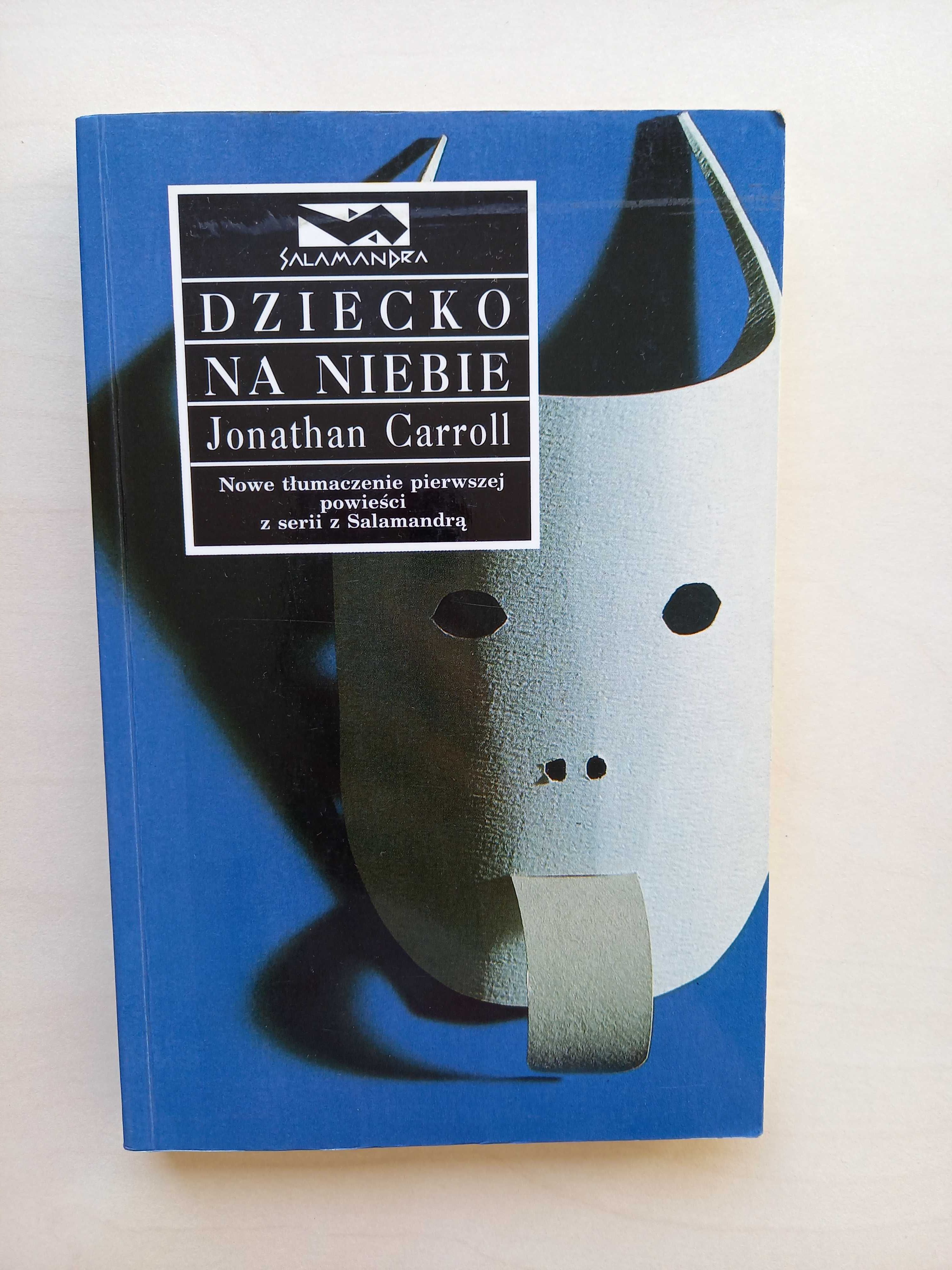 Dziecko na niebie - Jonathan Carroll