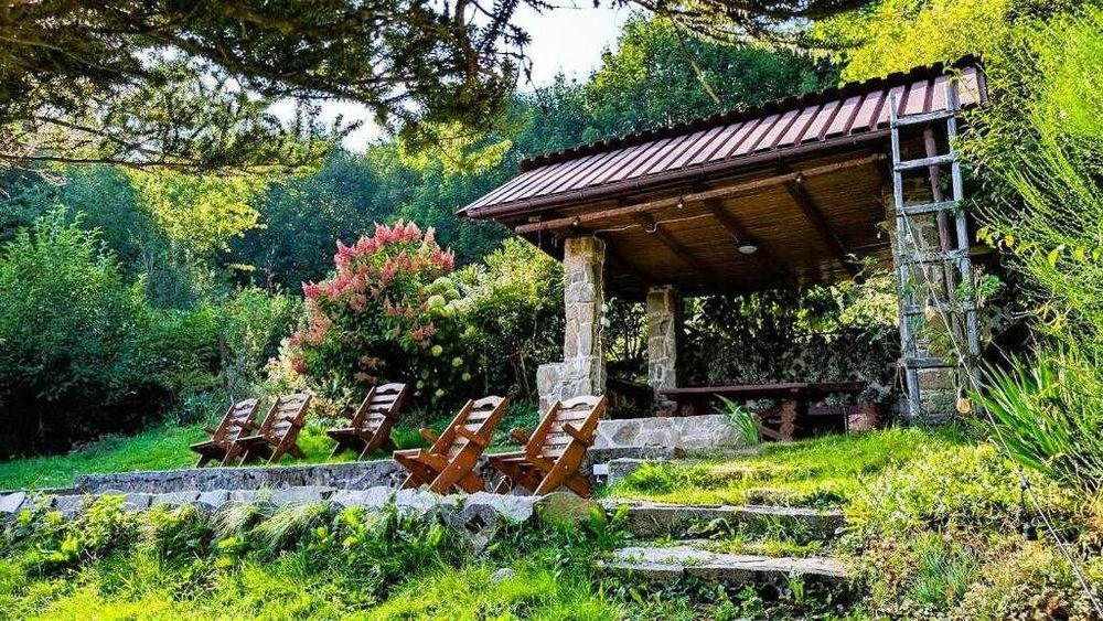 Willa Wielka Puszcza – Luksusowy Wypoczynek w Sercu Natury! Quady