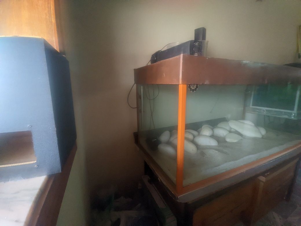Aquário 1.2 x60 x60