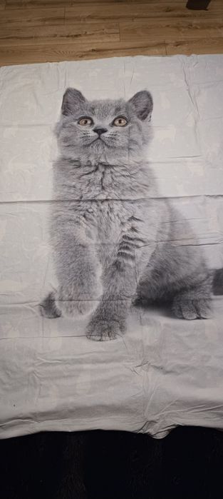 Pościel dziecięca 160x200