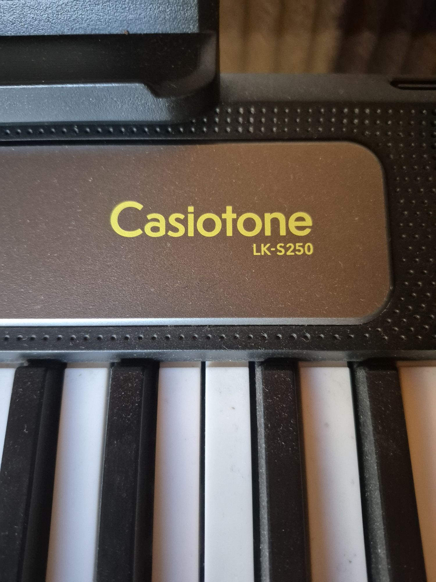 CASIO Casiotone LK-S250 продам