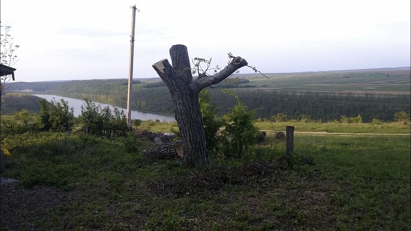 Дача на Дністрі с.Рашків.