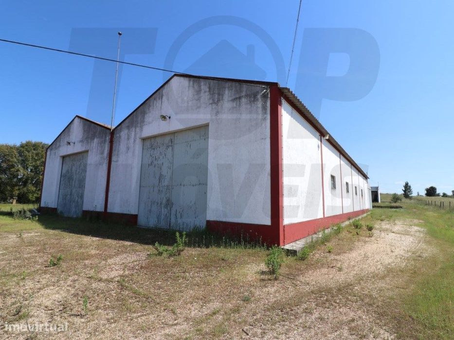 Terreno com equipamento agrícola - 34250m2 - 550.000€