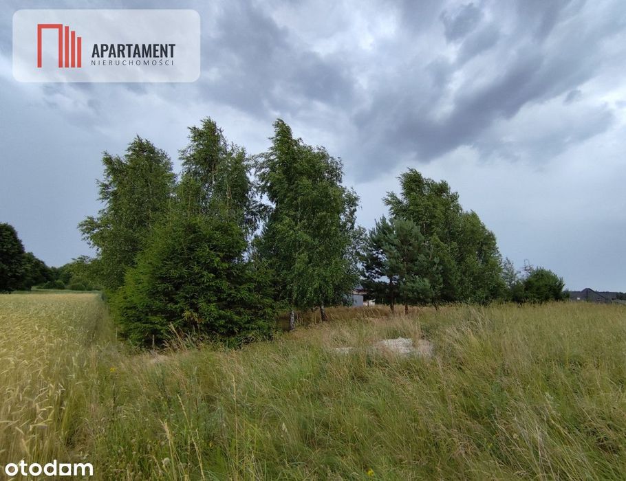 Tylko U Nas! Działka blisko jeziora Zakrzewskiego!