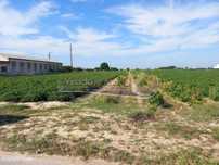 Terreno em Benfica do Ribatejo (BR028)