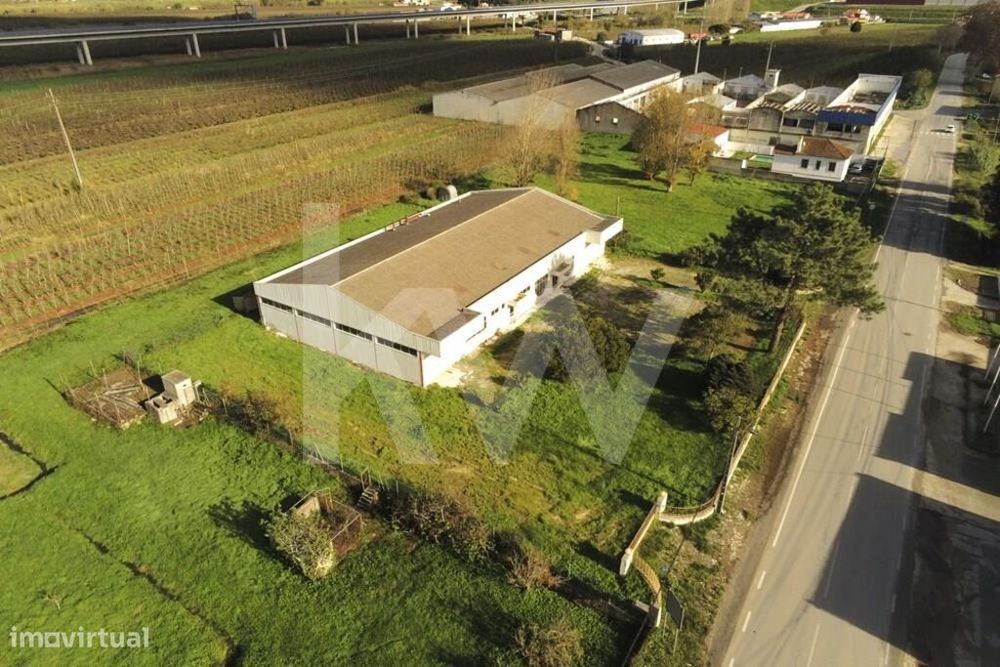 Armazem/Fábrica 737m2 | Terreno 40.000m2 | Estrada Nacional 8-5 |1987|