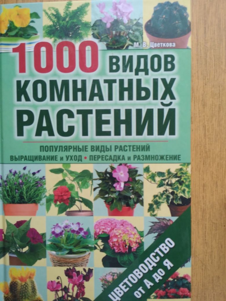 1000 видів кімнатних  рослин  Красивоквітучі  рослини  цілий  рік Целе