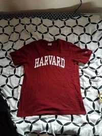 Champion z napisem Harvard T-shirt czerwona krótki rękaw