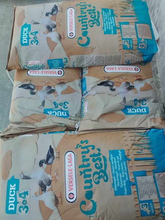 Alimentação ( grous, Ibis, alpacas etc.. )