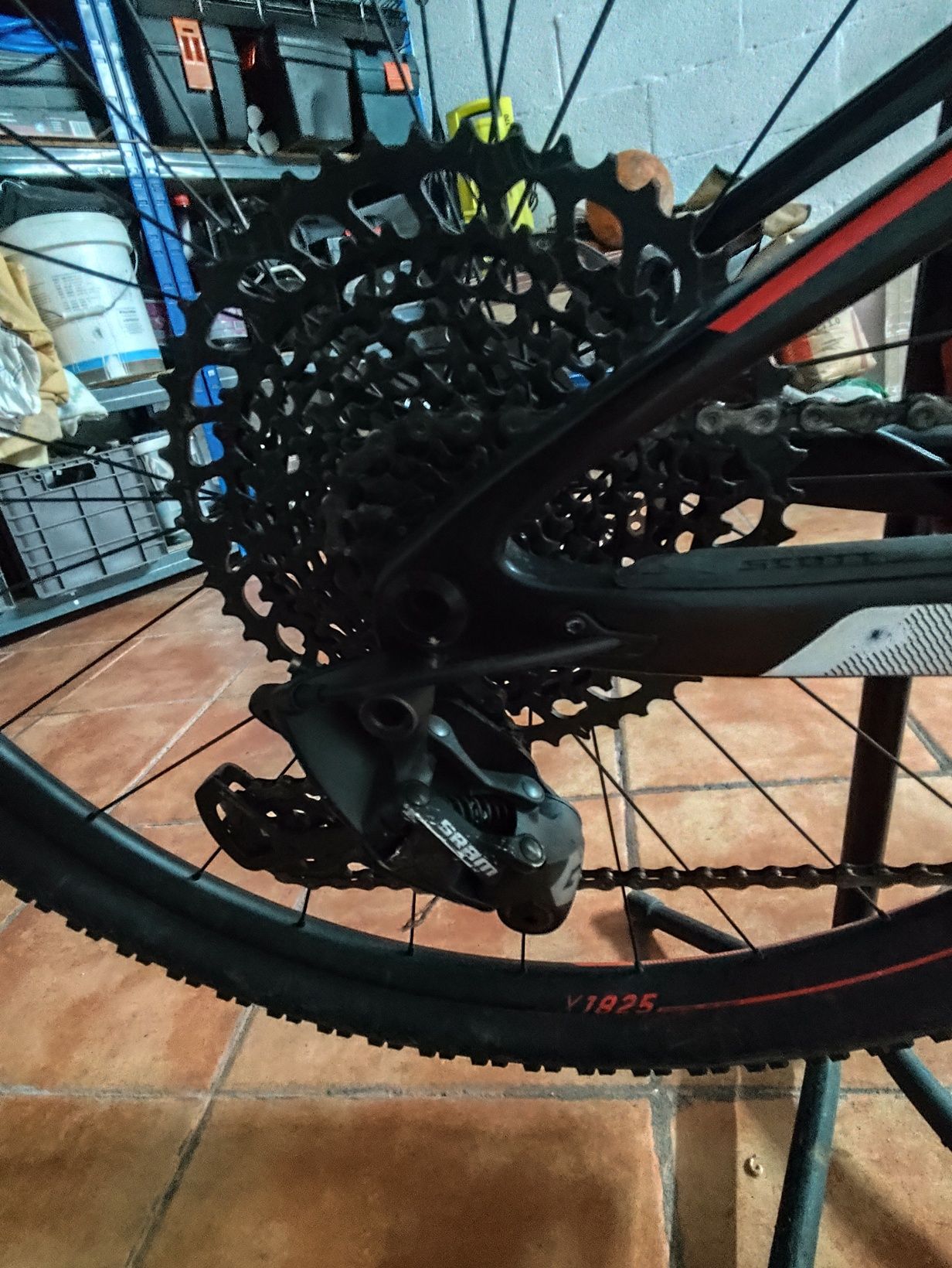 Scott RC carbono