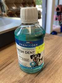 Francodex fresh dent 2w1 pies/kot 250 ml