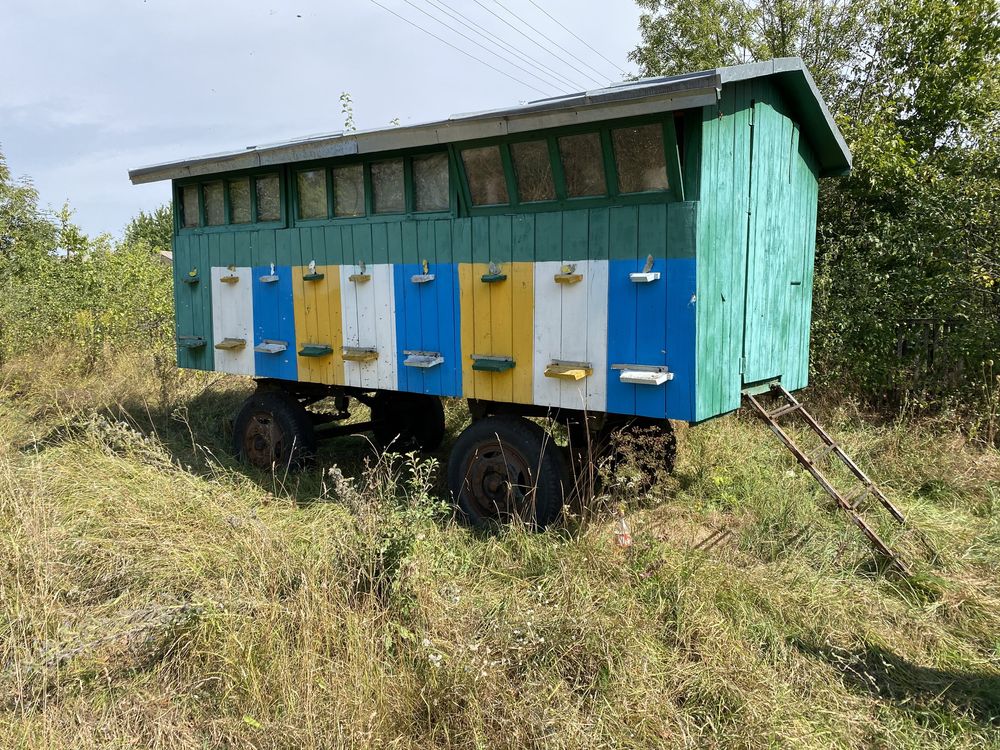 Павільйон для бджіл