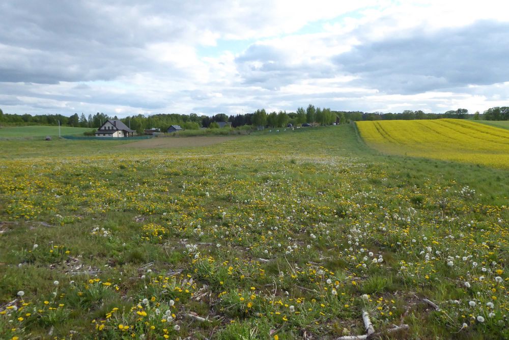 Idzbark -działka z warunkami zabudowy  ul. Kamratów