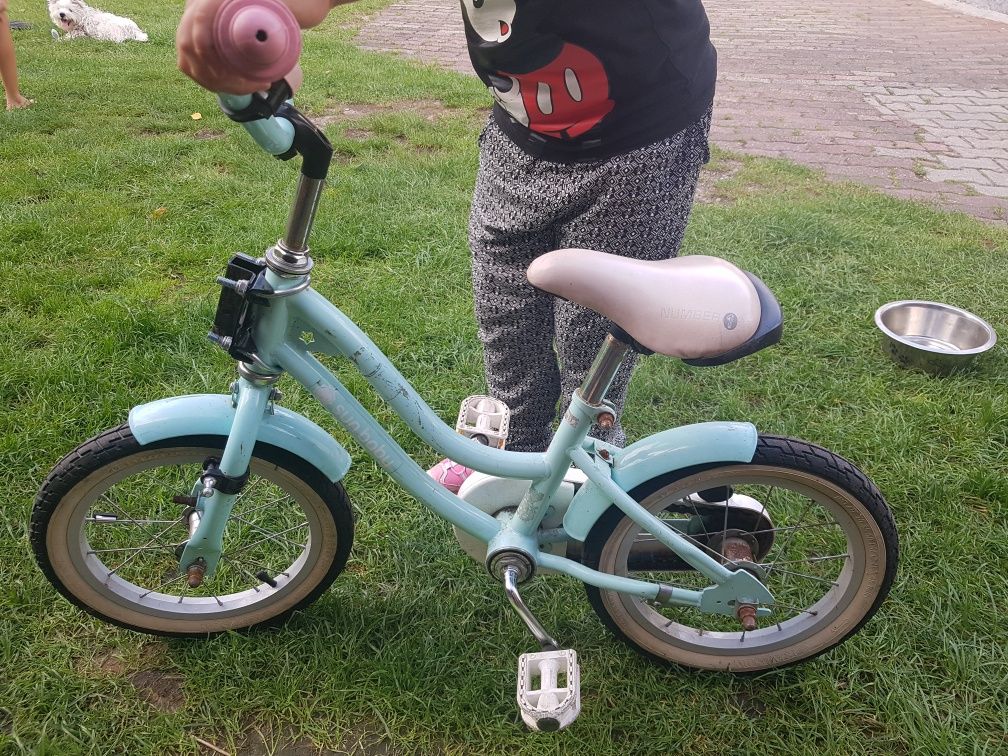 Rowerek dla dziewczynki bmx sunbaby