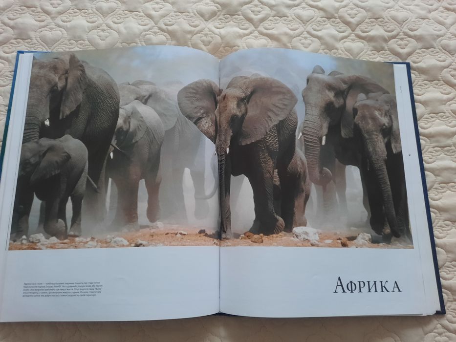 Атлас світ тварин