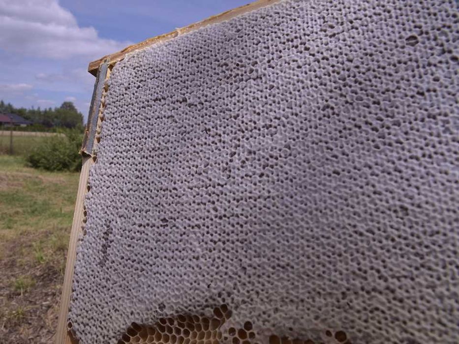 MIÓD z własnej pasieki SŁOWIAŃSKIE DARY - wysyłka cała Polska