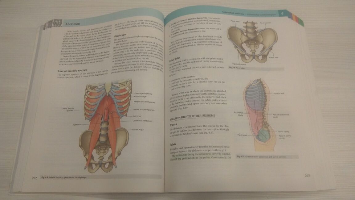 Gray's anatomy 3rd. ed. Анатомия человека учебник