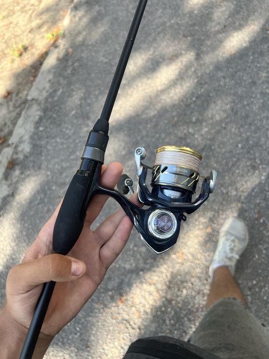 Favorite black swan 842 lt