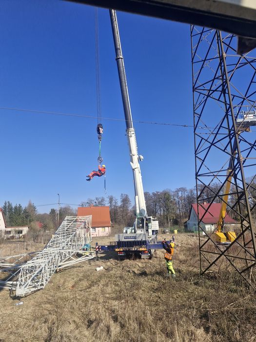 Dźwig, podnośnik, wycinka drzew, rębak