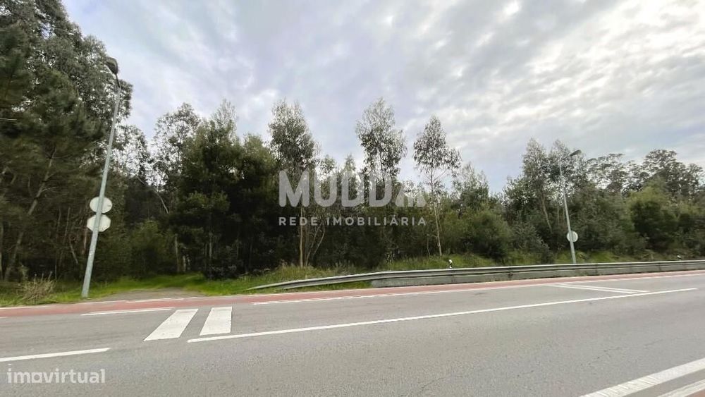 Terreno Rústico em Estarreja