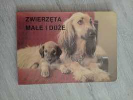 Zwierzęta duże i małe