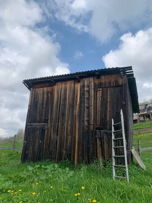 Куплю стару чорну дошку Дорого