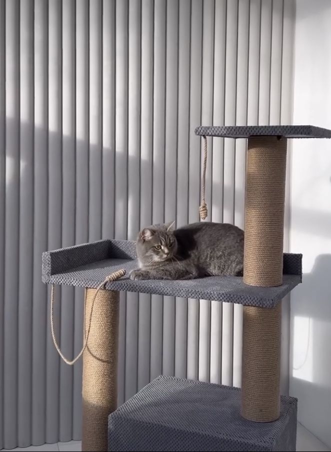 Кігтеточка  комплекс для кота