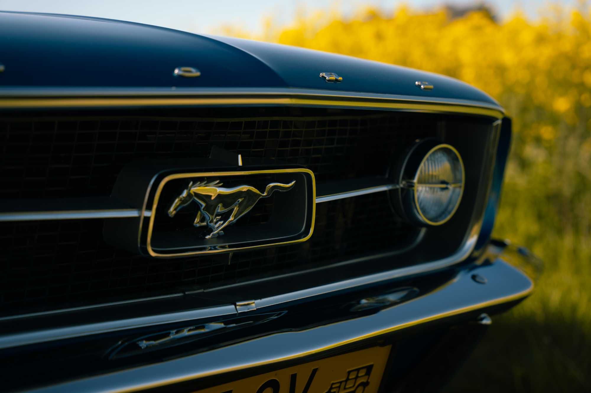Wynajem Ford Mustang 1967 4.7 V8 na ślub, sesje, specjalne okazje