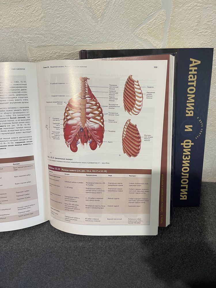 Анатомия и физиология 2 тома