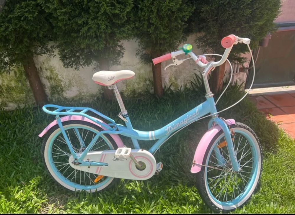 Bicicleta Criança / Roda 20