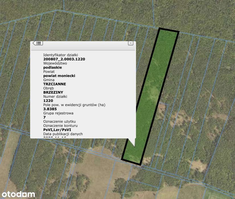 Pakiet 3 działek - Las 3,84 ha + łąki i rola 2,02 ha przy BPN