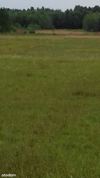 Urocze miejsce do zamieszkania i wypoczynku