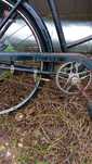 Bicicleta de senhora marca tricana