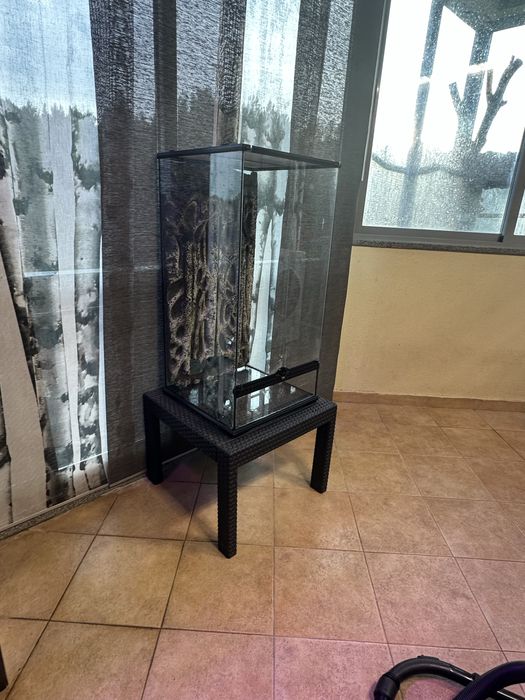 Terrario exoterra Tall completo