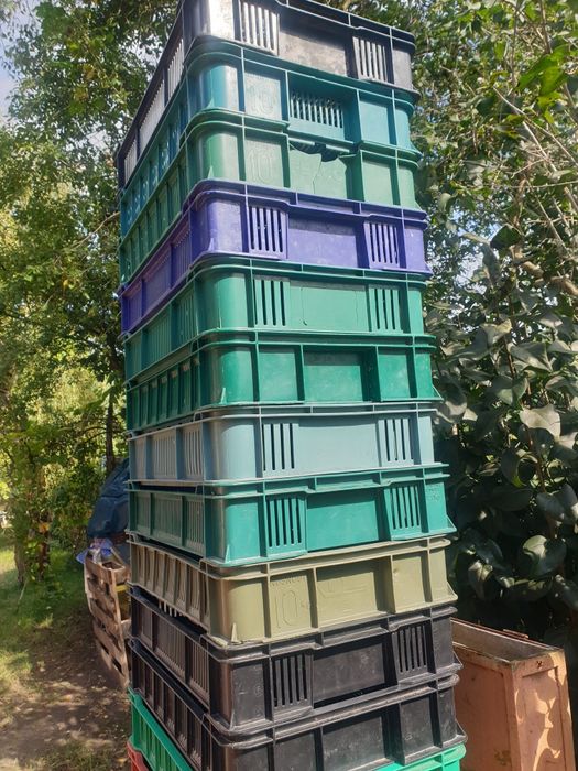 Skrzynki do owoców,  platon ,,czeszka,, na  wiśnie , maliny 
Skrzynki