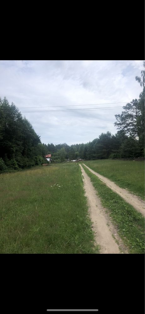 Dzialka Mazury 1208 m , blisko jezioro las natura