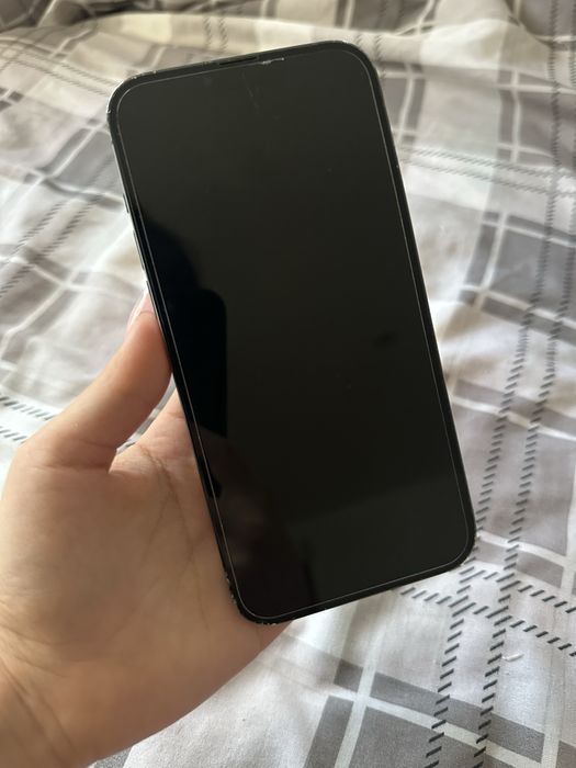 iPhone 13 pro max
