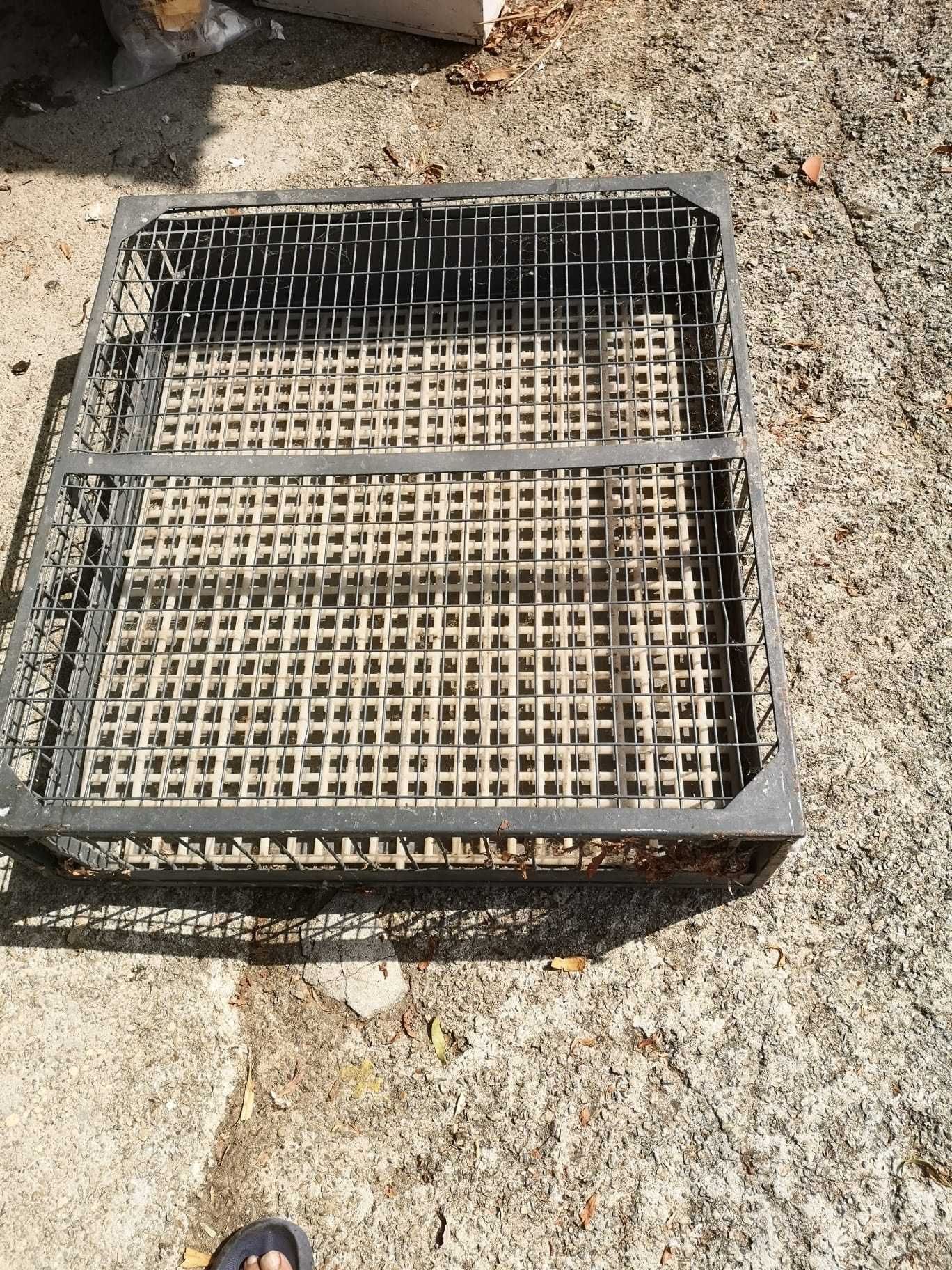 jaula para pombos em ferro