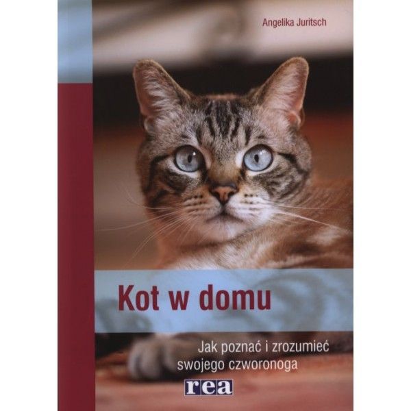 Kot w domu Angelika Juritsch