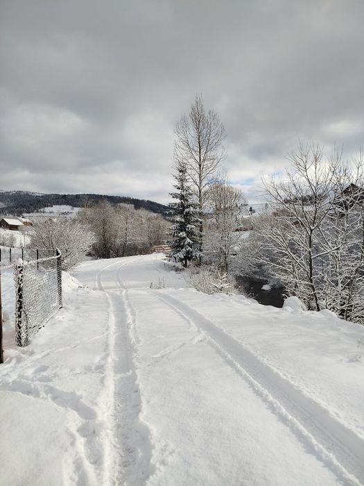 Котедж, житло в Карпатах, Славське, Волосянці із вуличним СПА