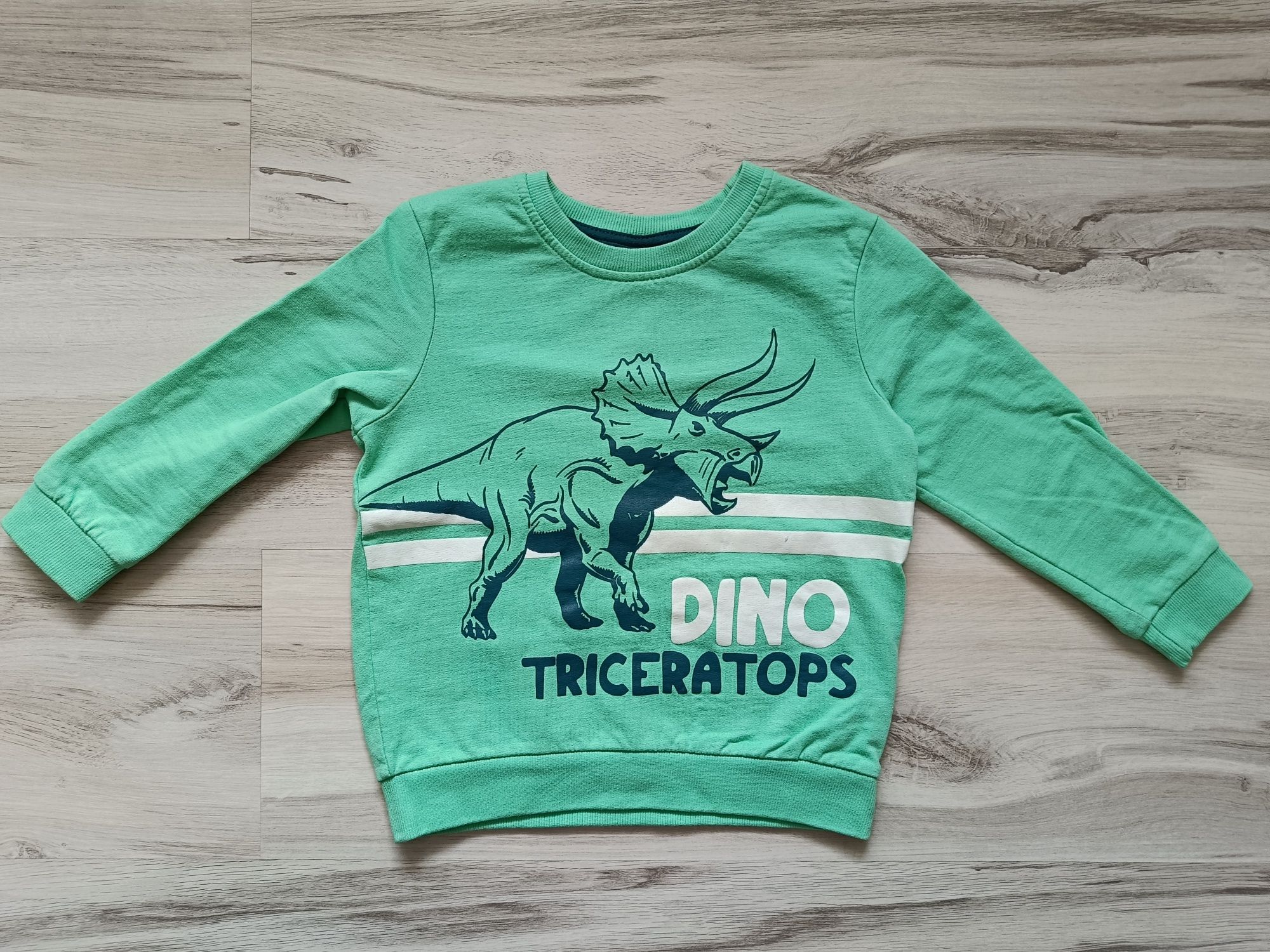 Bluza chłopięca dinozaur