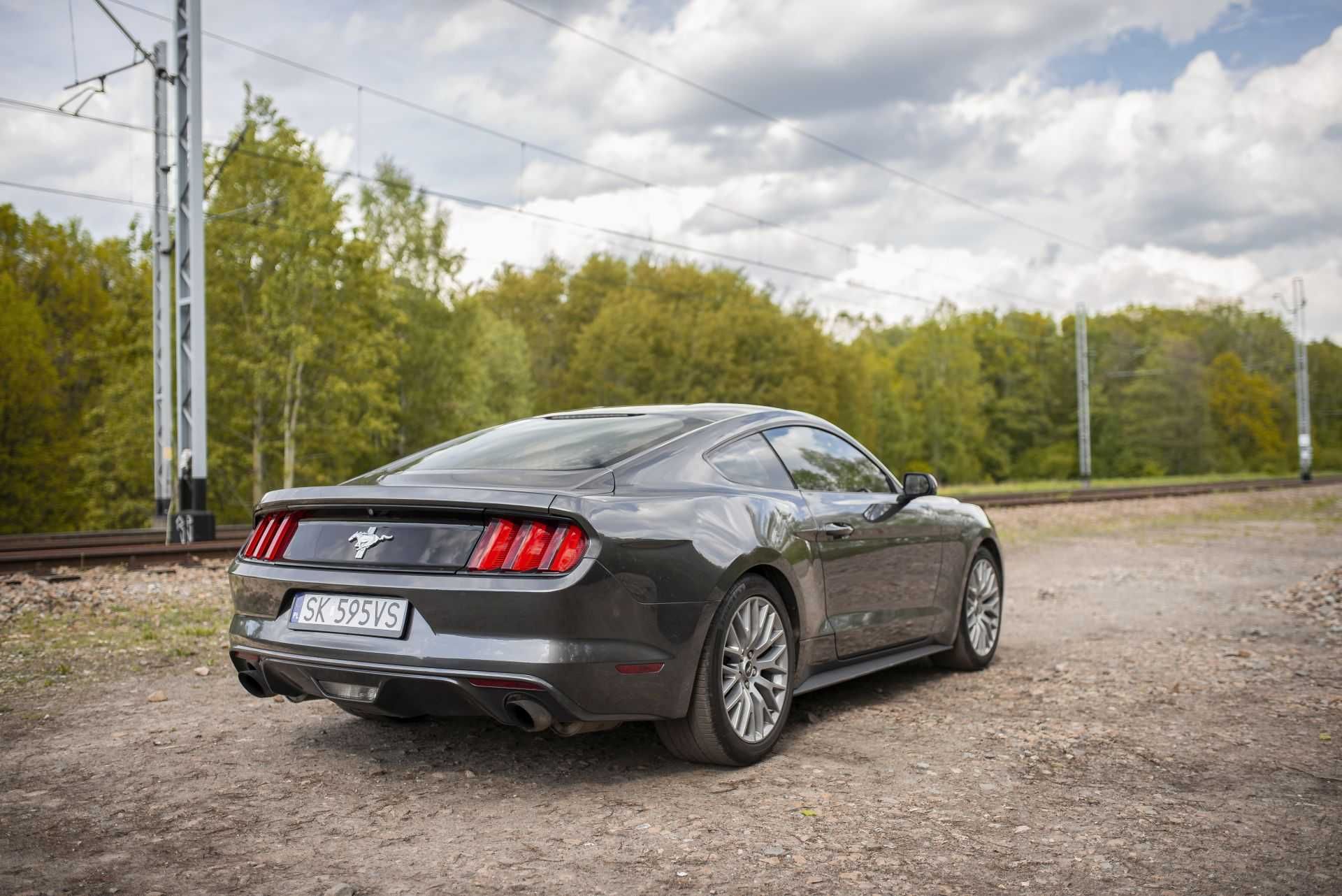 WYNAJEM FORD MUSTANG V6 - już od 400zł/brutto! Idealne na ślub!